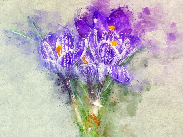 Violet Flower